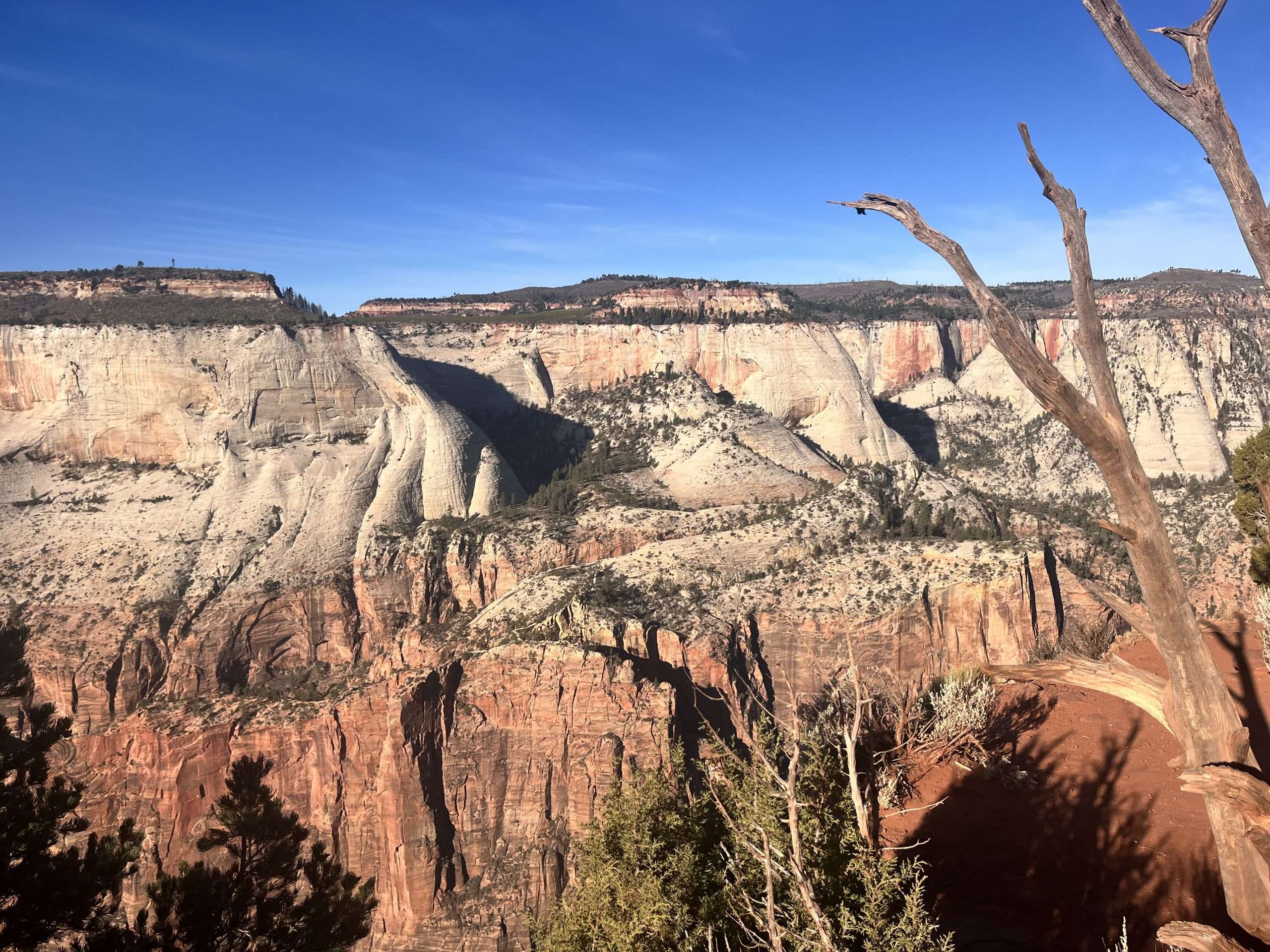 Rocky canyon landscape under clear blue sky.