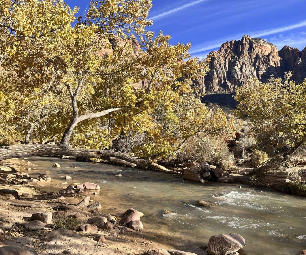 Autumn trees and stream in mountainous landscape