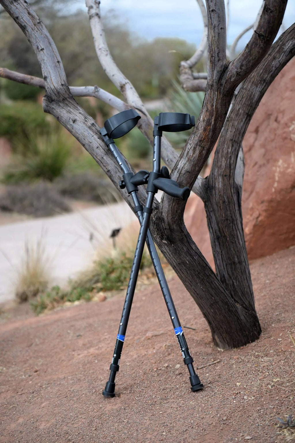 Tall in-Motion Pro forearm crutches leaning against a tree