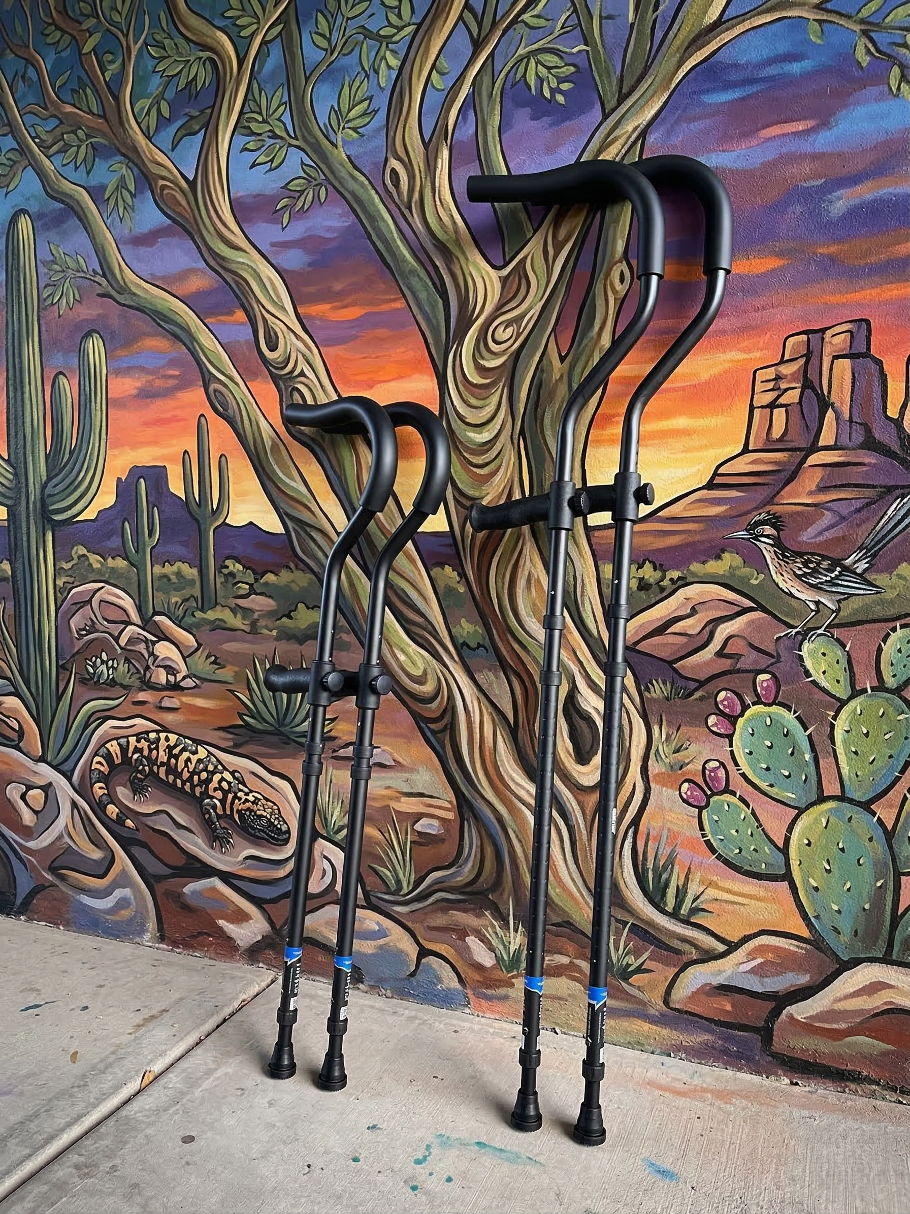 in-Motion Pro underarm crutches, tall and short, against a desert mural